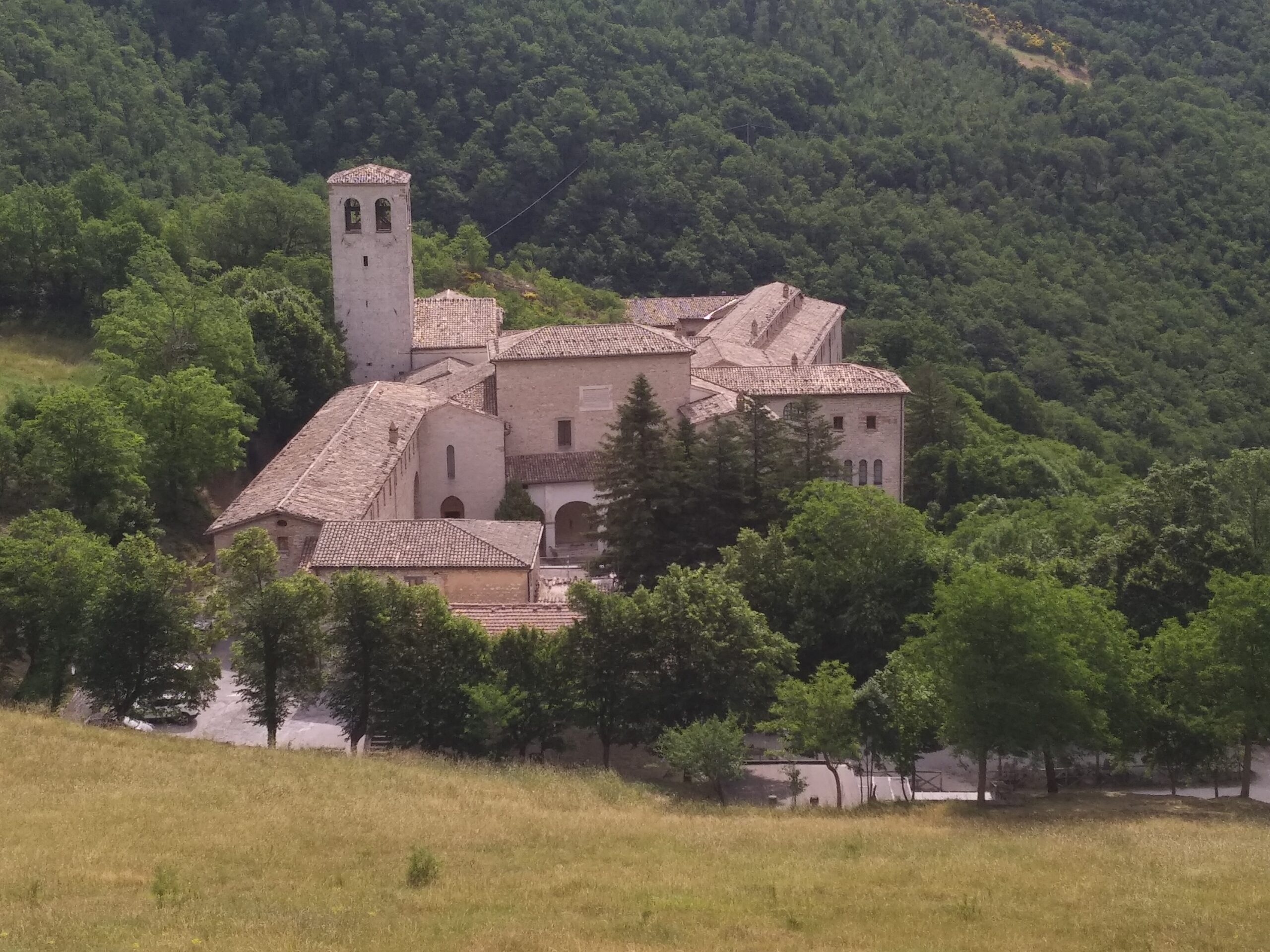 La splendida Abbazia dove furono salvati dai monaci migliaia di libri antichi