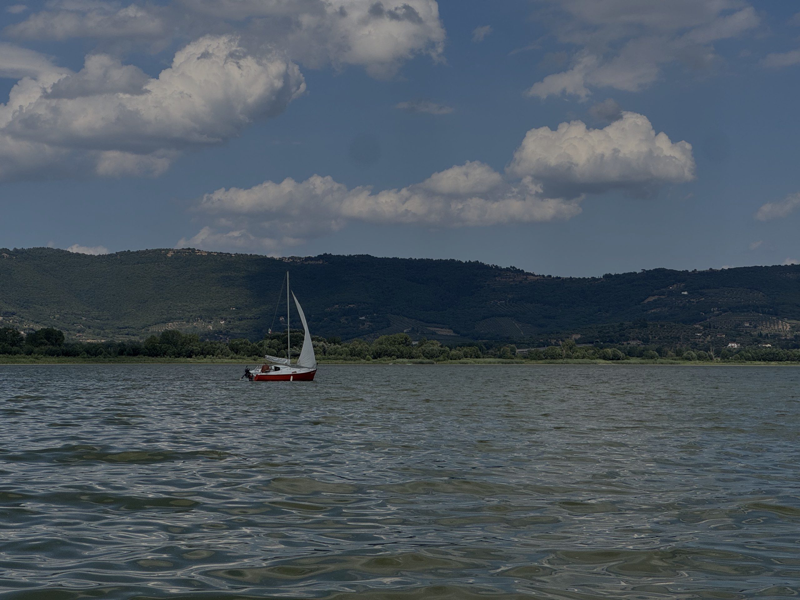 Trasimeno story/1 Ecosistema fragile di cui avere cura, ma è “un malato  immaginario”
