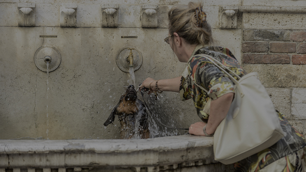 Umbria, 5 anni di caldo record, meno nel 2025. Crescita sotto la  media nazionale