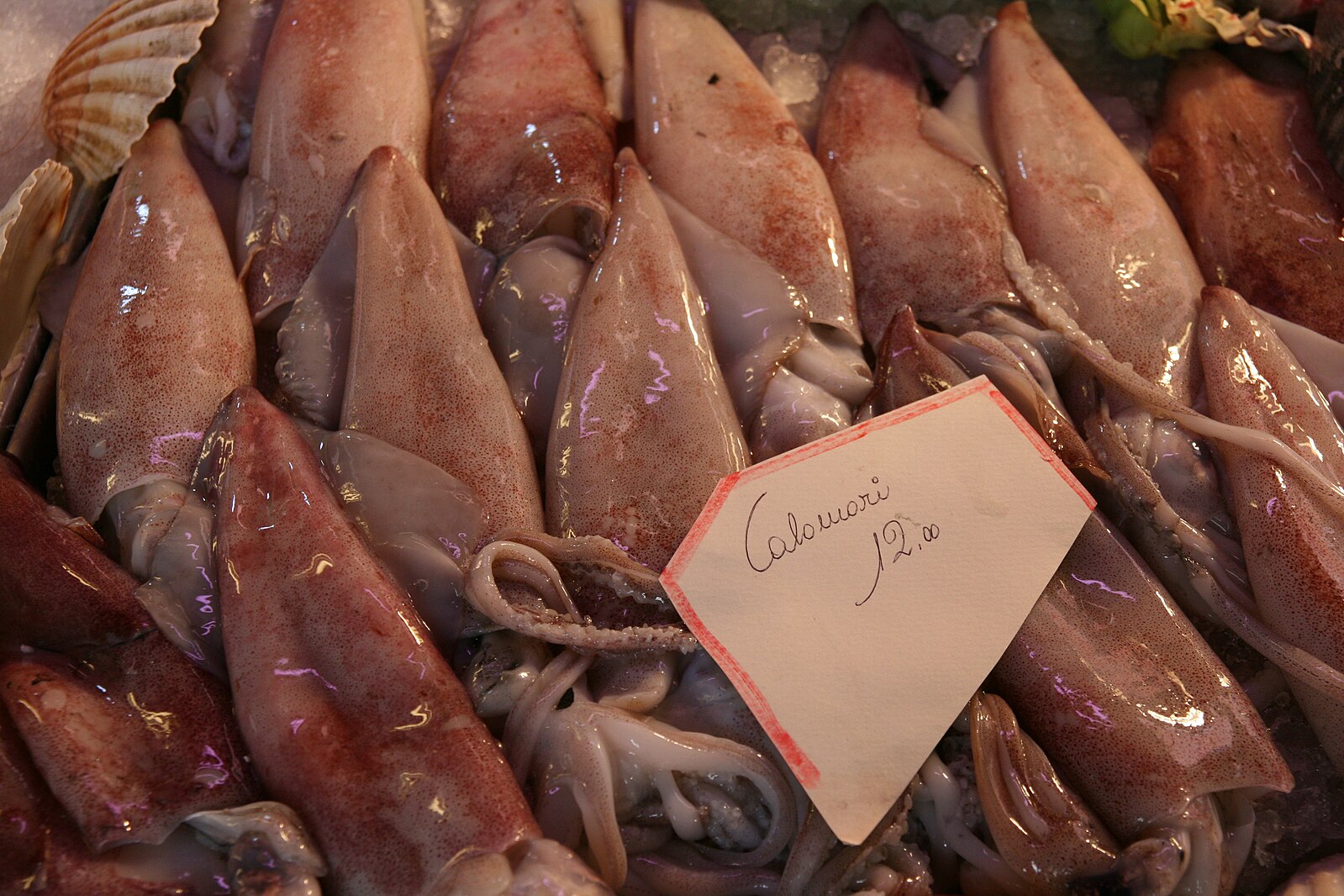 Novembre è il mese giusto per i calamari crudi o fritti