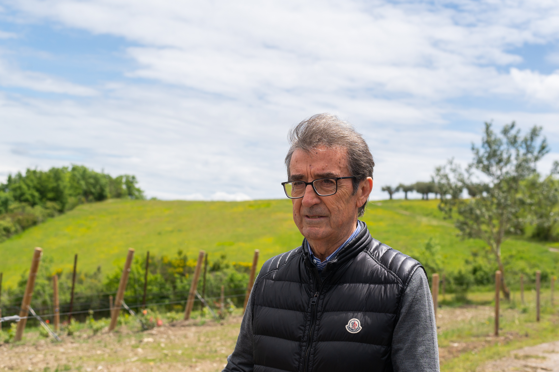 In un libro il futuro del vino secondo Cotarella