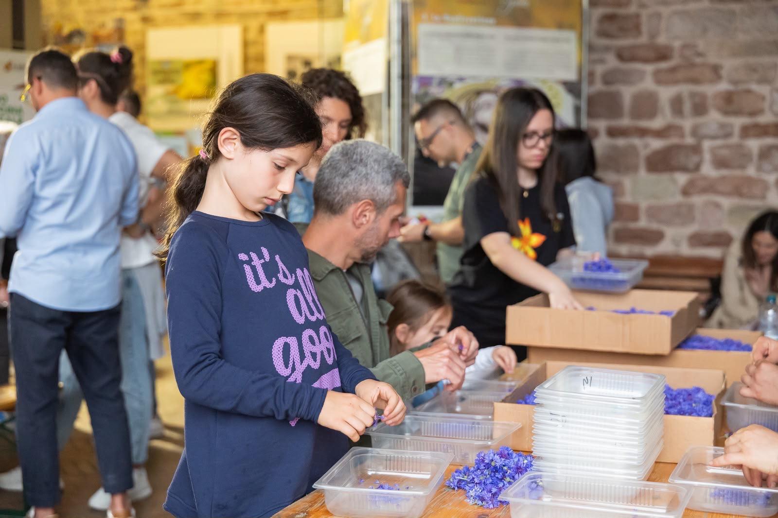 Giugno umbro: gli itinerari delle “feste dei fiori”