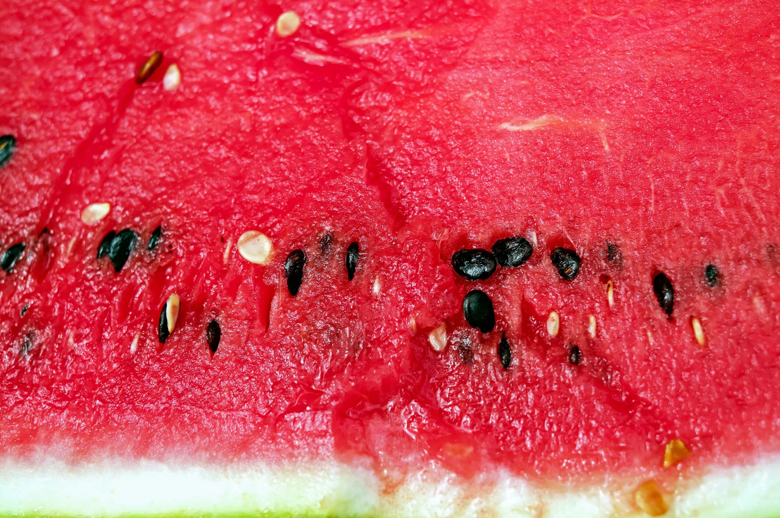 No ai cocomeri  piccoli. Quelli  buoni sono grandi e con i semi