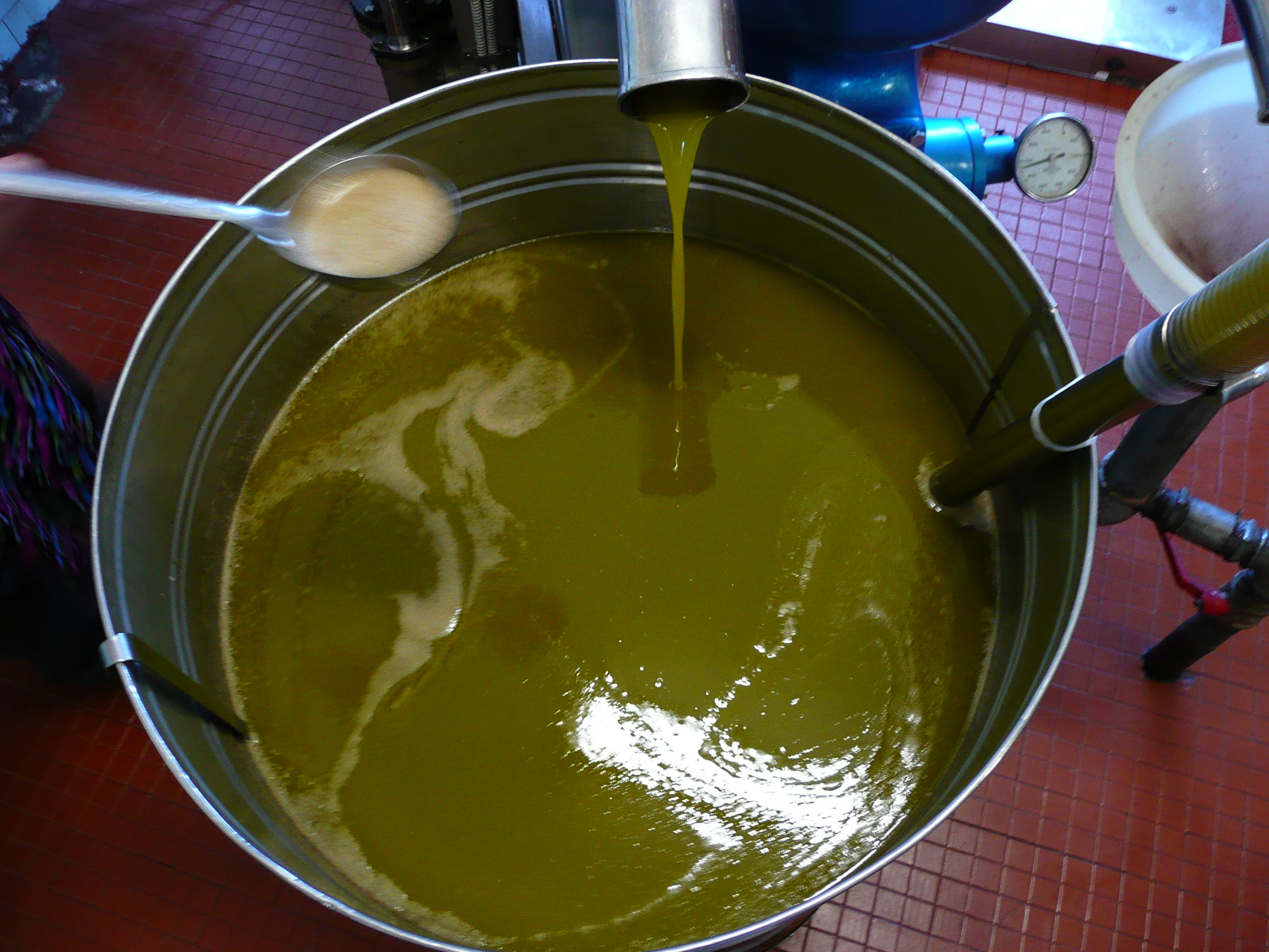 Mercosur, l’olio umbro alla conquista dell’America Latina