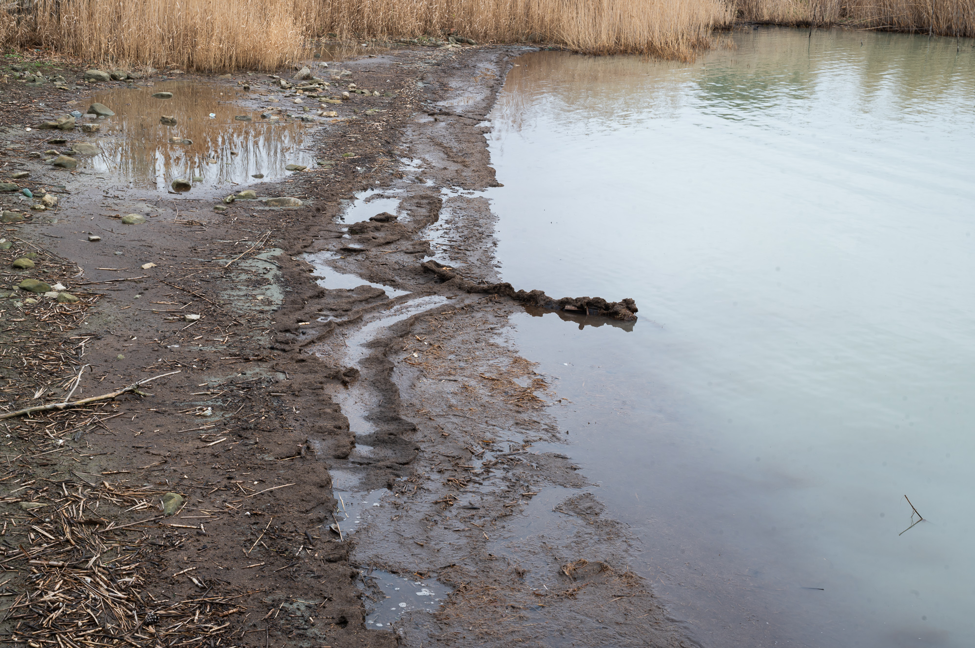 Trasimeno/1 Storia di tutte le volte che stava per prosciugarsi