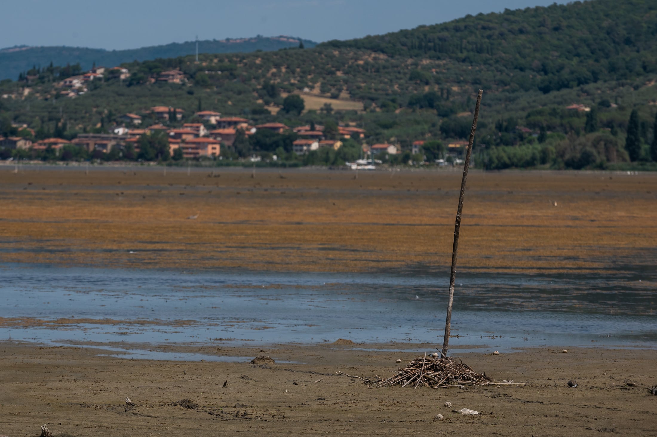 Trasimeno/4 Metà del lago è già “perduto”. Ecco tutto ciò che occorre fare e subito