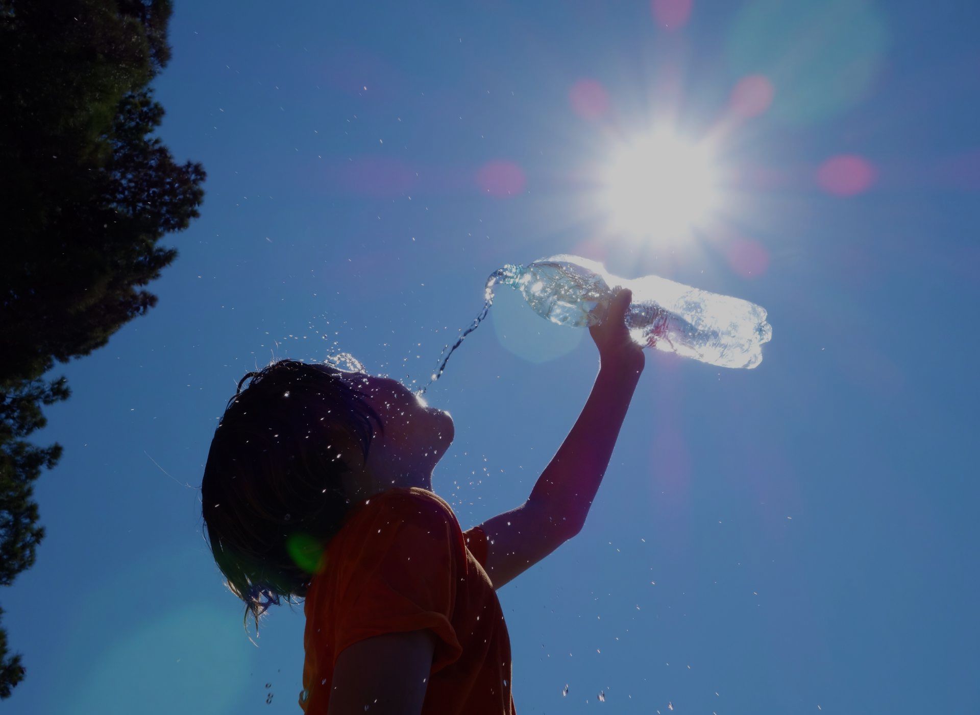 Come combattere il super caldo in Umbria: alberi nelle città e 5 altre proposte