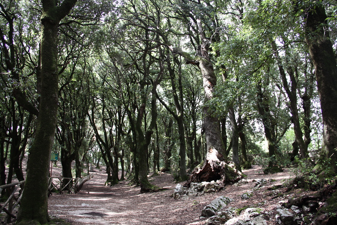 Umbria, dove passeggiare in ottobre nel caldo foliage